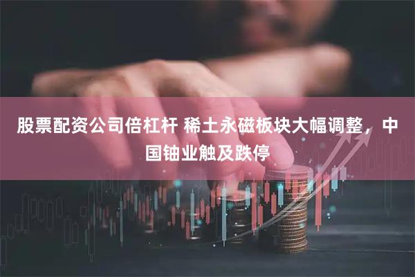 股票配资公司倍杠杆 稀土永磁板块大幅调整，中国铀业触及跌停